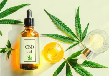 CBD Oil Explained: Purity, Pain Research, Online Claims & Safety