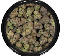 BC God Bud (Smalls) at thejointonmarket