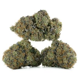 Doughboy Pink by Pluto Craft Cannabis at thejointonmarket