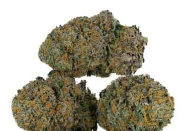 Medical Marijuana vs Recreational: Benefits & Where to Buy