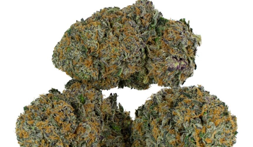 medical marijuana