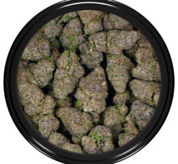 Mendocino Purps (Smalls) at thejointonmarket