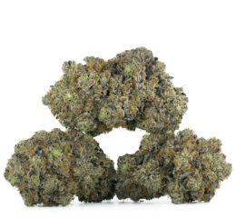 Mike Tyson by Pluto Craft Cannabis at thejointonmarket