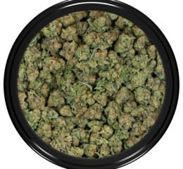 Miracle Alien Cookies #1 (Popcorn) at thejointonmarket