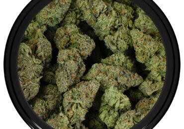 Marijuana For Sale in Salem, OR | Buy Marijuana Online