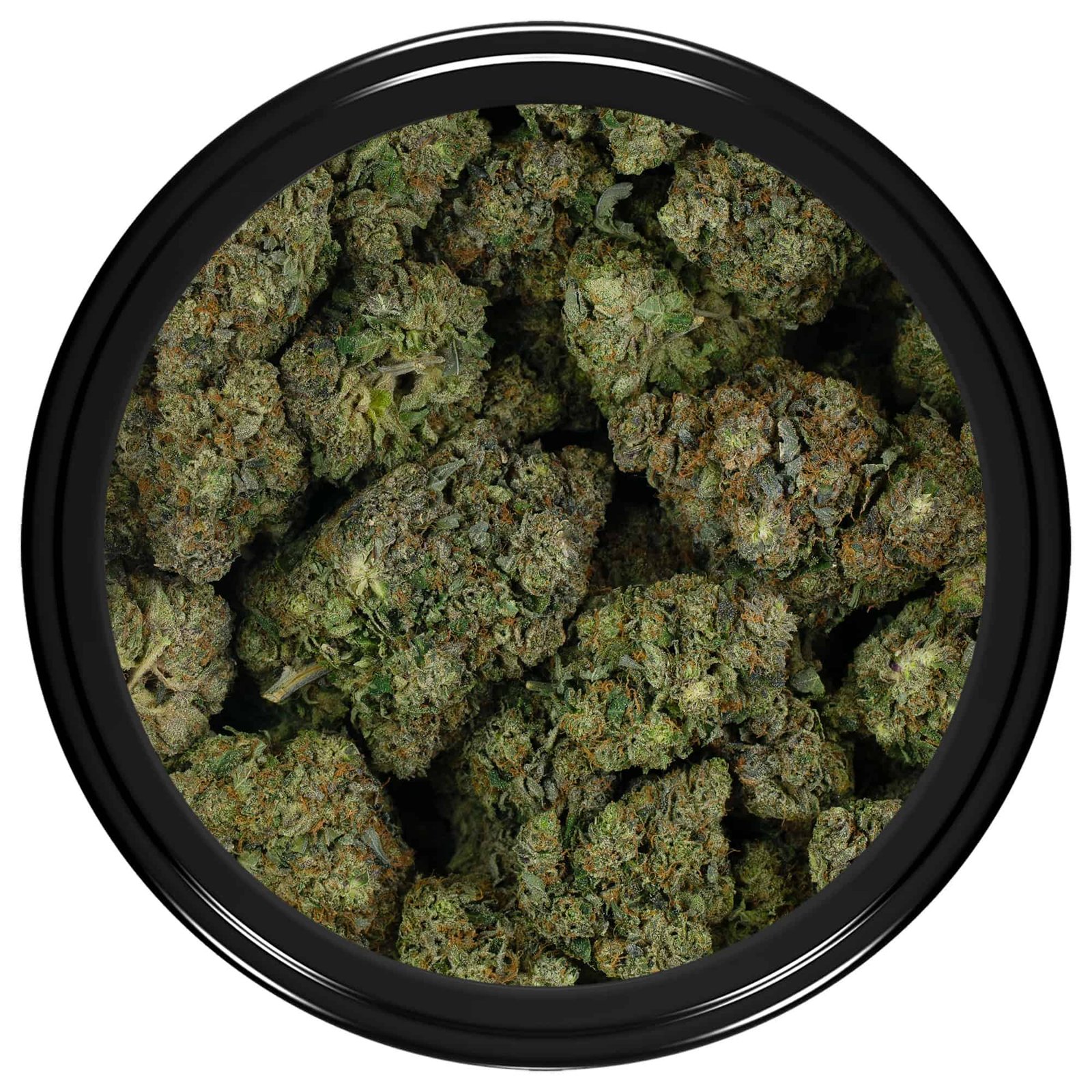 Snoop Dogg OG by Dog Pound Genetics at thejointonmarket - Image 2