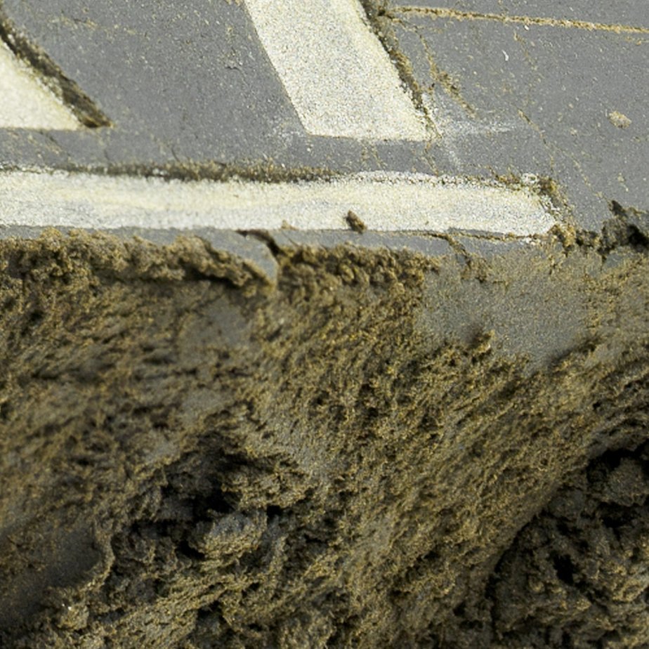Hash – Trident at thejointonmarket - Image 2