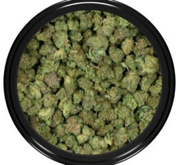 WiFi OG (Popcorn) at thejointonmarket