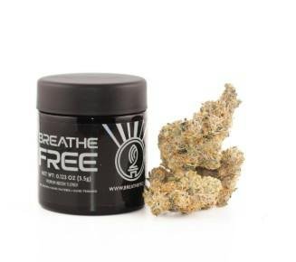 Chem D x Runtz 3.5G at thejointonmarket