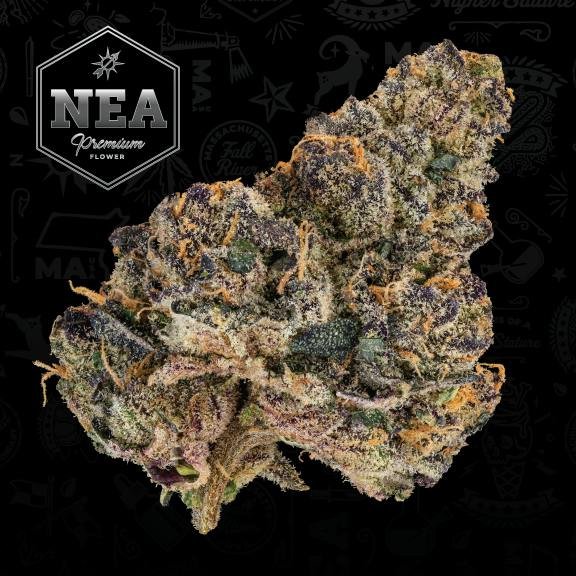 Marijuana Flower Guide: How to Pick Quality Buds | Salem