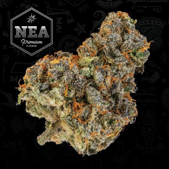 Indica vs Sativa vs Hybrid: Marijuana Strains Guide 2026