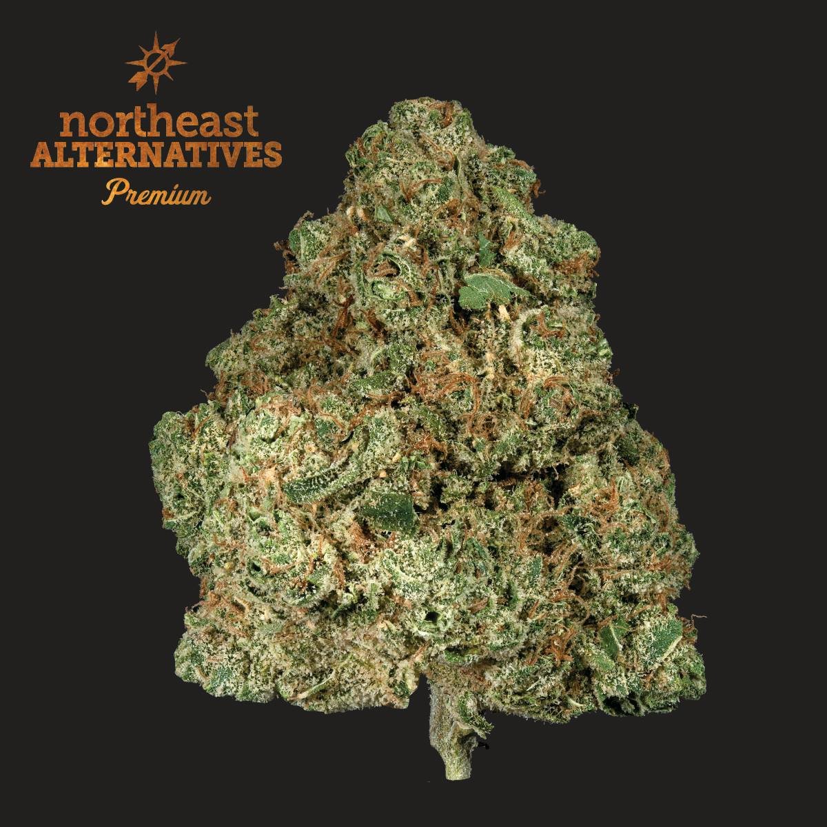 Smoking Weed for Beginners: Best Weed for Smoking & Tips