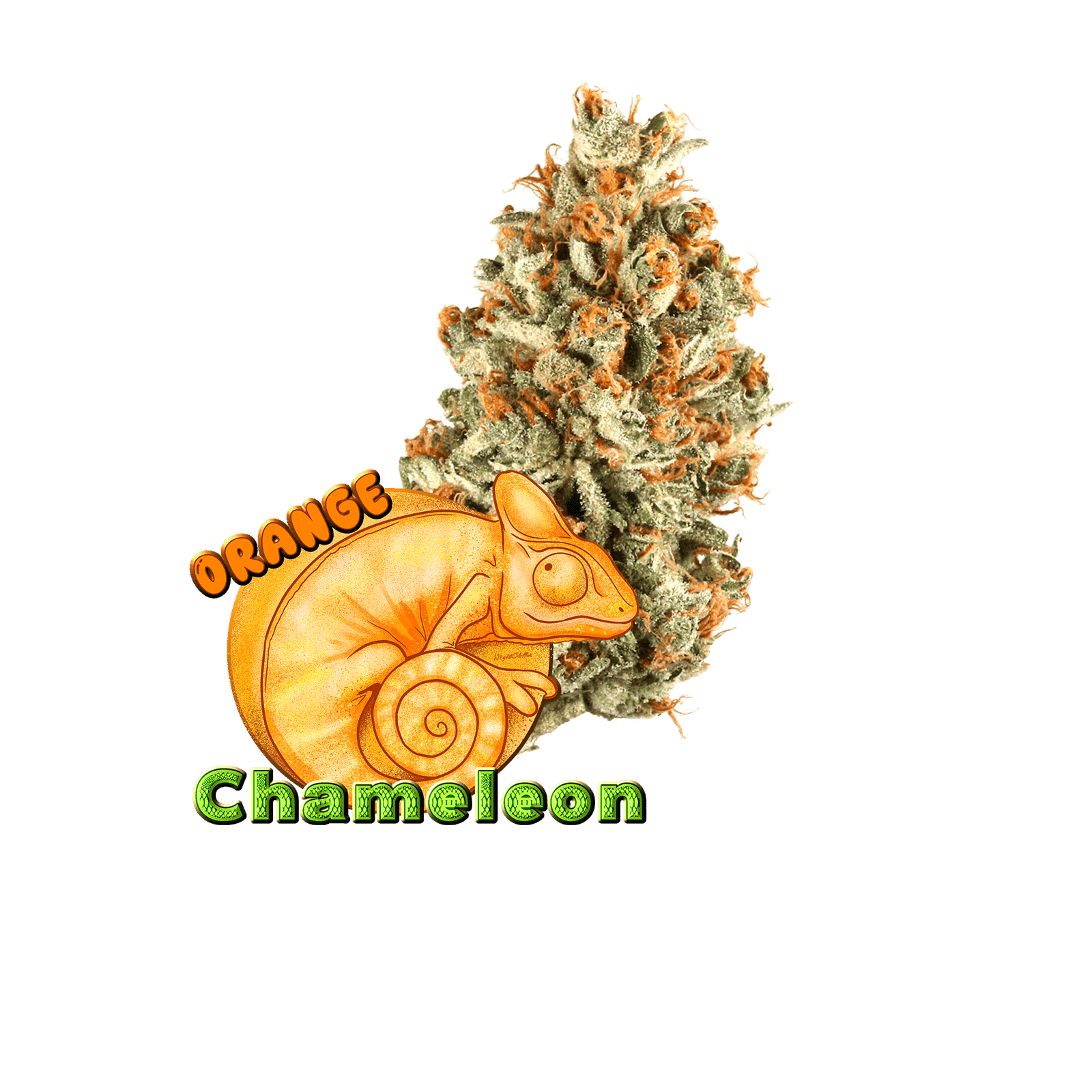 is weed addictive