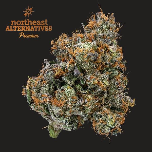 Where Is Weed Legal? State by State Weed Laws (2026 Map)