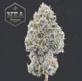 what is thc
